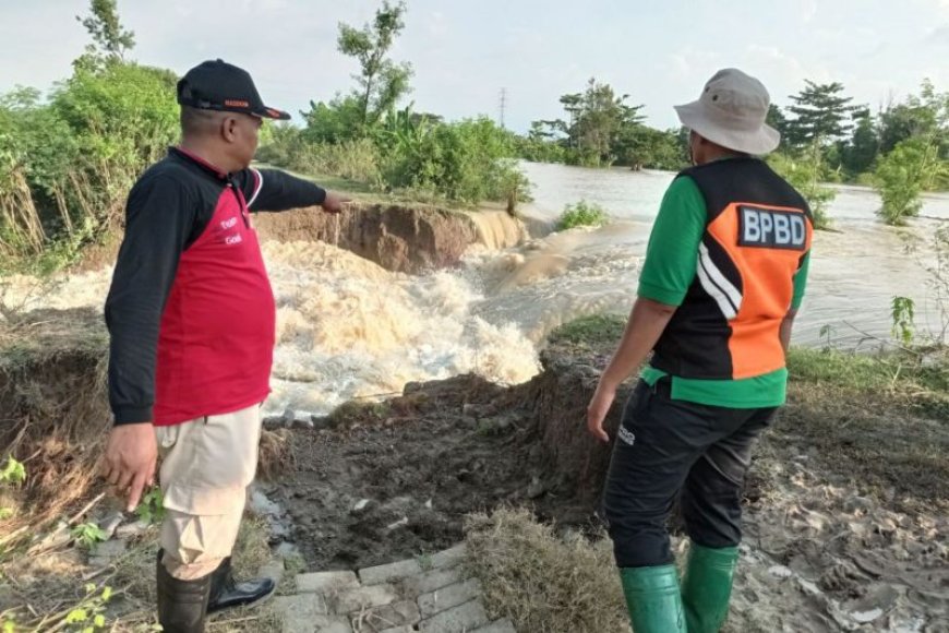 11 desa  di Demak terdampak banjir akibat tanggul Sungai Tuntang jebol