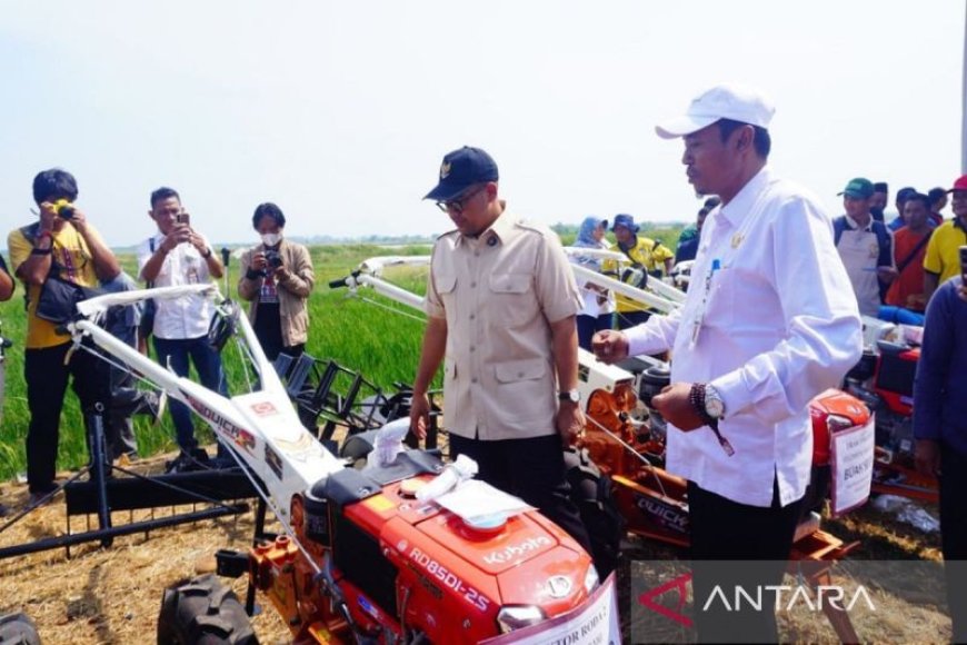 Pemkab  Batang sebut serapan gabah petani alami surplus