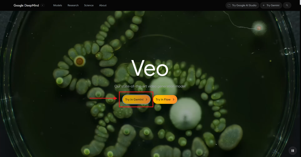 Cara Pakai Google Veo 3 Gratis untuk Bikin Video AI dari Teks di Gemini